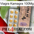 Viagra Kamagra 100Mg 41